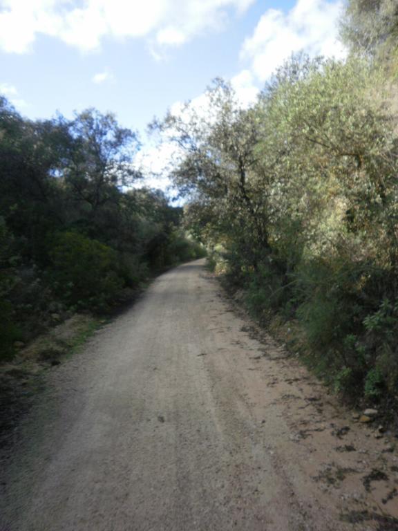 Complejo Pueblo Blanco Ξενοδοχείο Olvera Εξωτερικό φωτογραφία