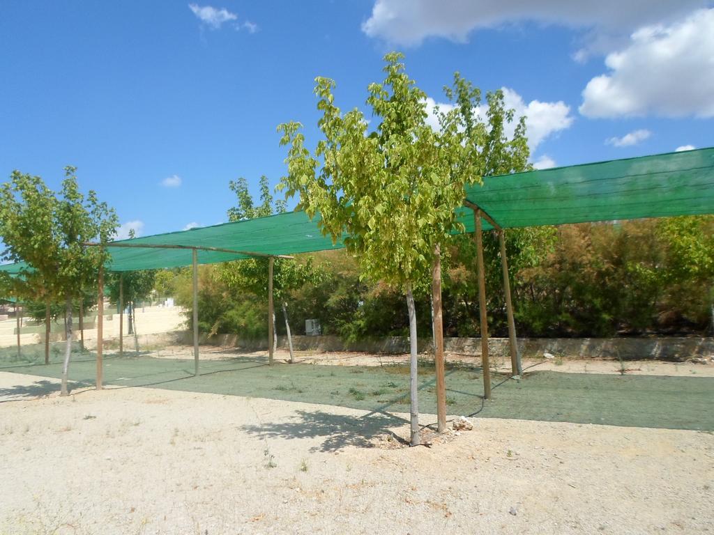 Complejo Pueblo Blanco Ξενοδοχείο Olvera Εξωτερικό φωτογραφία