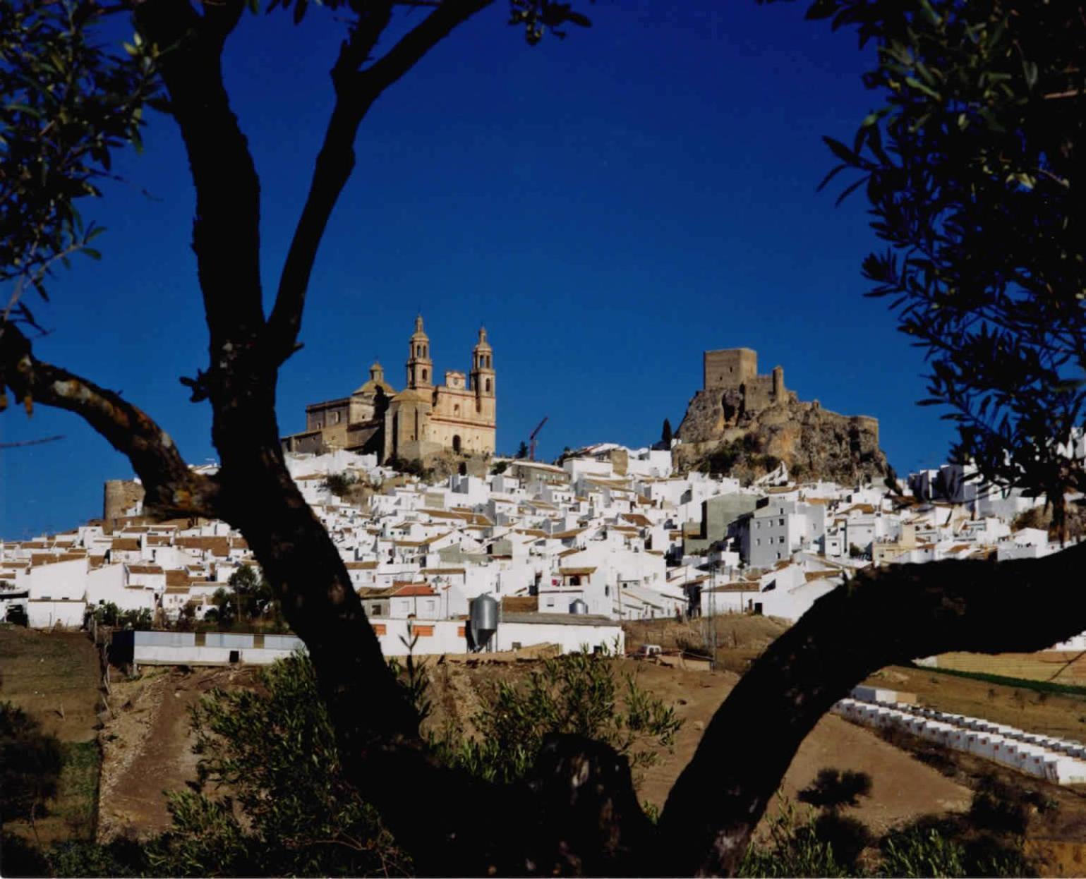 Complejo Pueblo Blanco Ξενοδοχείο Olvera Εξωτερικό φωτογραφία